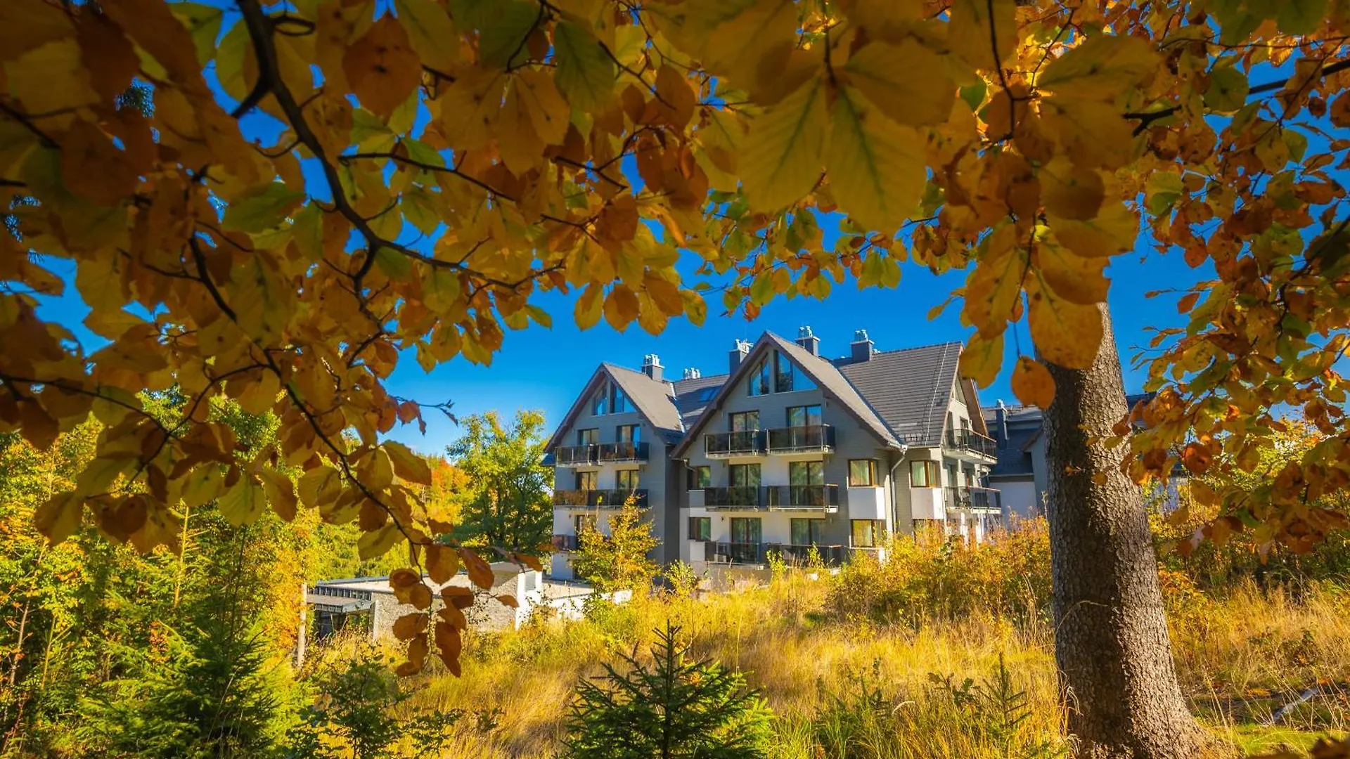 Czarny Kamien Resort & Spa Szklarska Poręba